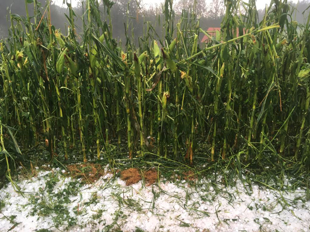 Schwere Hagelunwetter Auch In Der Steiermark | Bauernzeitung