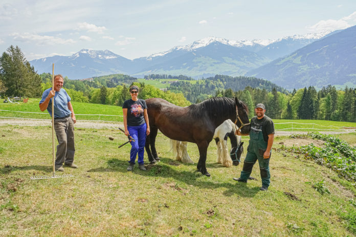 Familie Kerscher mit Martin Senior (l.) und Martin Junior (r.) freuen sich mit Helferin Gabriele über die freigeräumte Weide für die Rinder und Pferde.