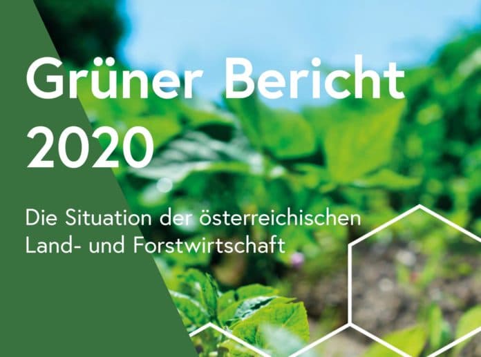 Grüner Bericht 2020