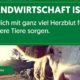 Suche langfristige und verantwortliche Hofstelle auf Milchvieh-Hof/Betrieb in ganz Österreich