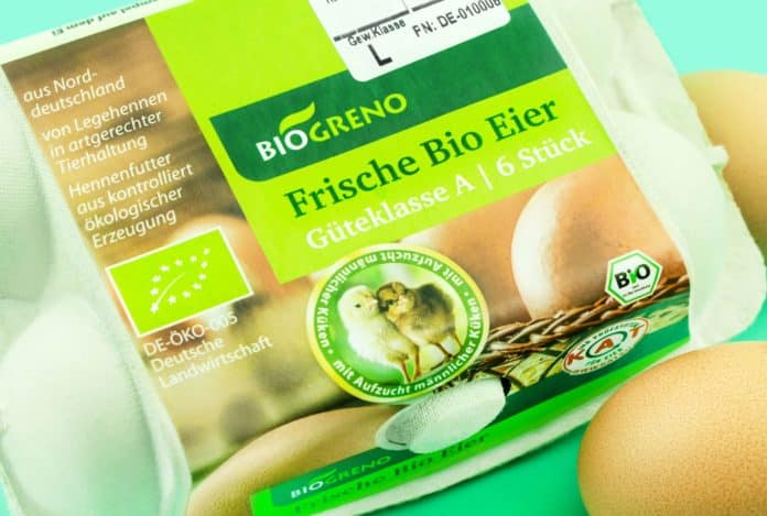 Bio-Eier aus Deutschland